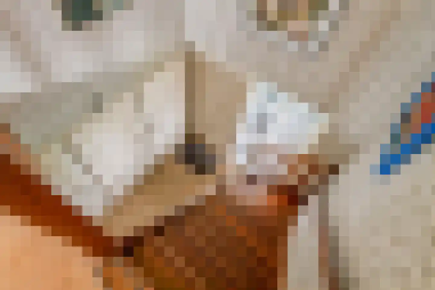 Kamillekamp 47 Eck en Wiel thumbnail 42