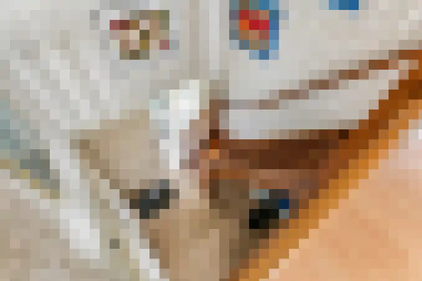 Kamillekamp 47 Eck en Wiel thumbnail 43