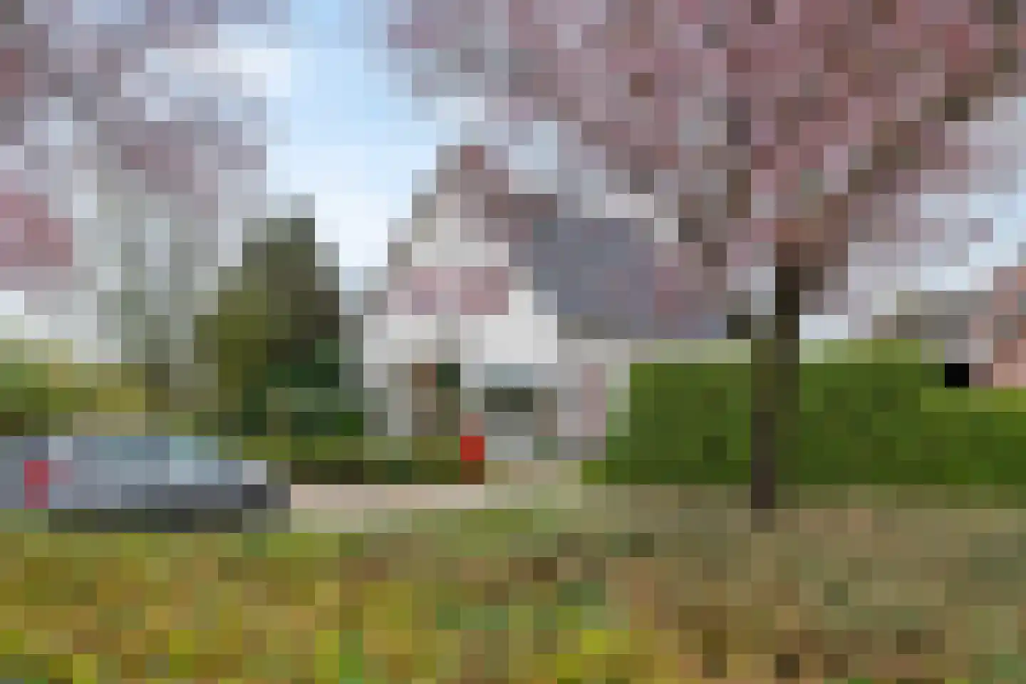 Kamillekamp 47 Eck en Wiel thumbnail 5