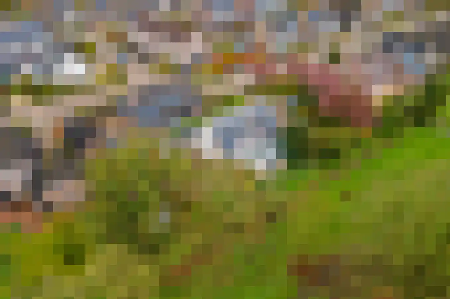 Kamillekamp 47 Eck en Wiel thumbnail 62