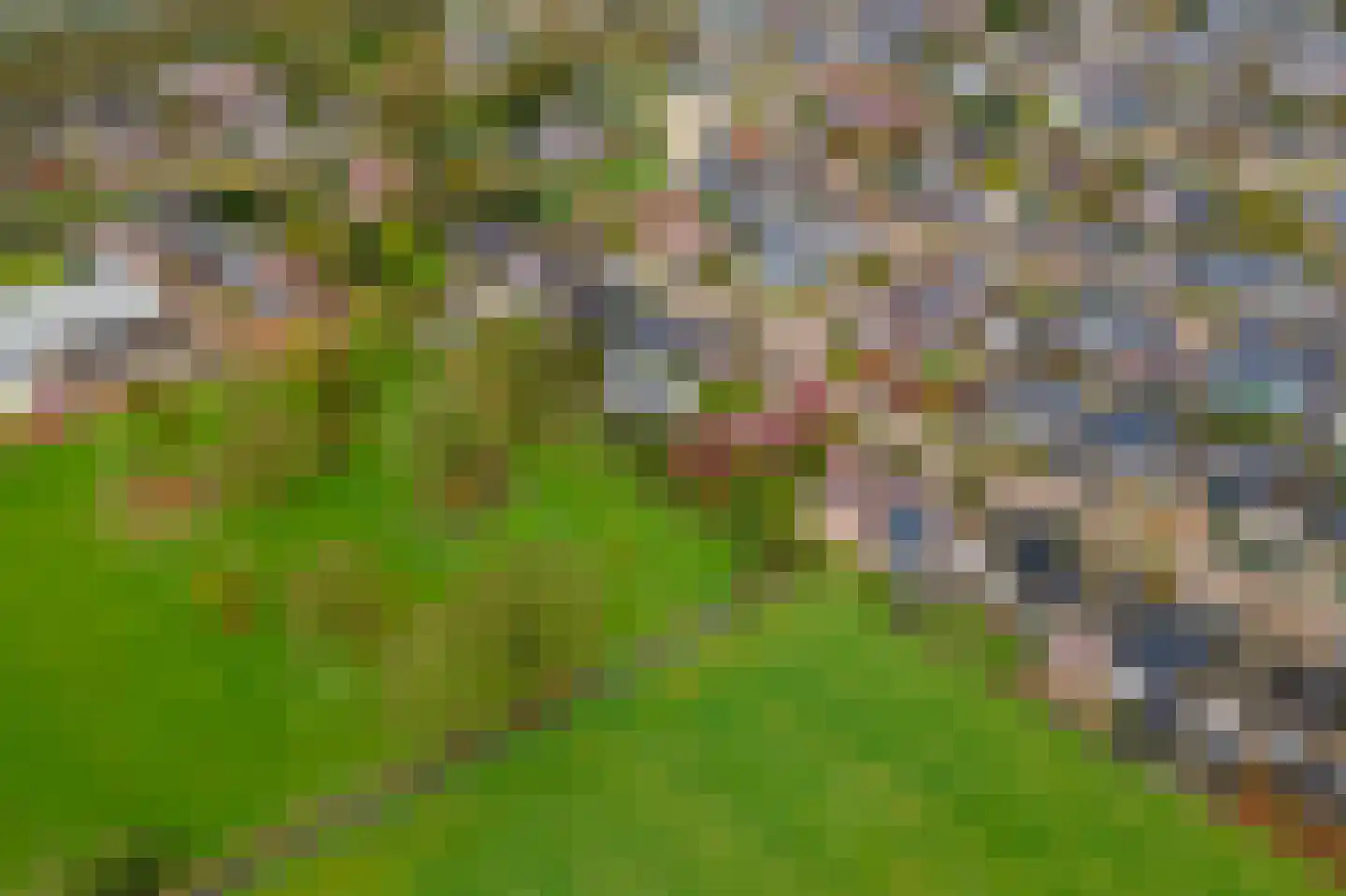 Kamillekamp 47 Eck en Wiel thumbnail 63