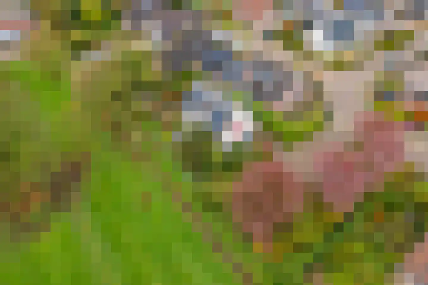 Kamillekamp 47 Eck en Wiel thumbnail 65