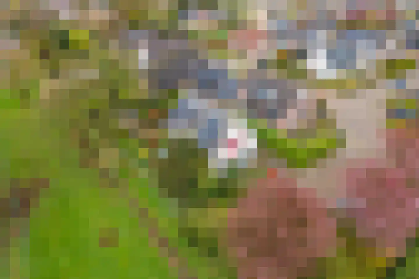 Kamillekamp 47 Eck en Wiel thumbnail 66