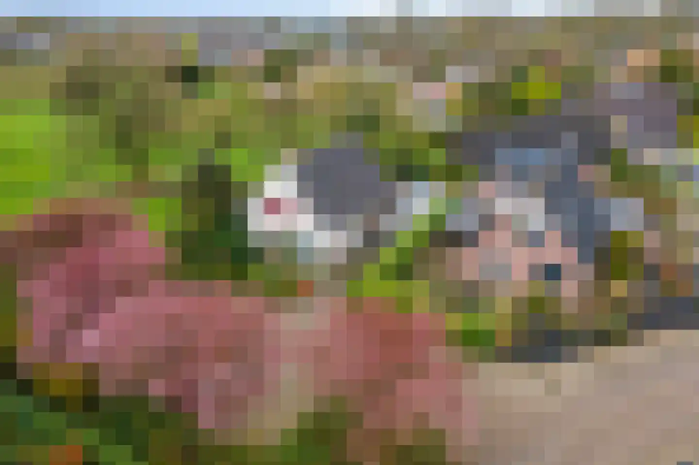 Kamillekamp 47 Eck en Wiel thumbnail 67
