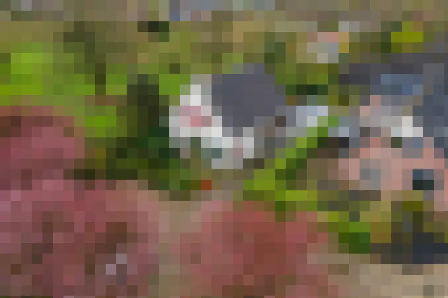 Kamillekamp 47 Eck en Wiel thumbnail 68