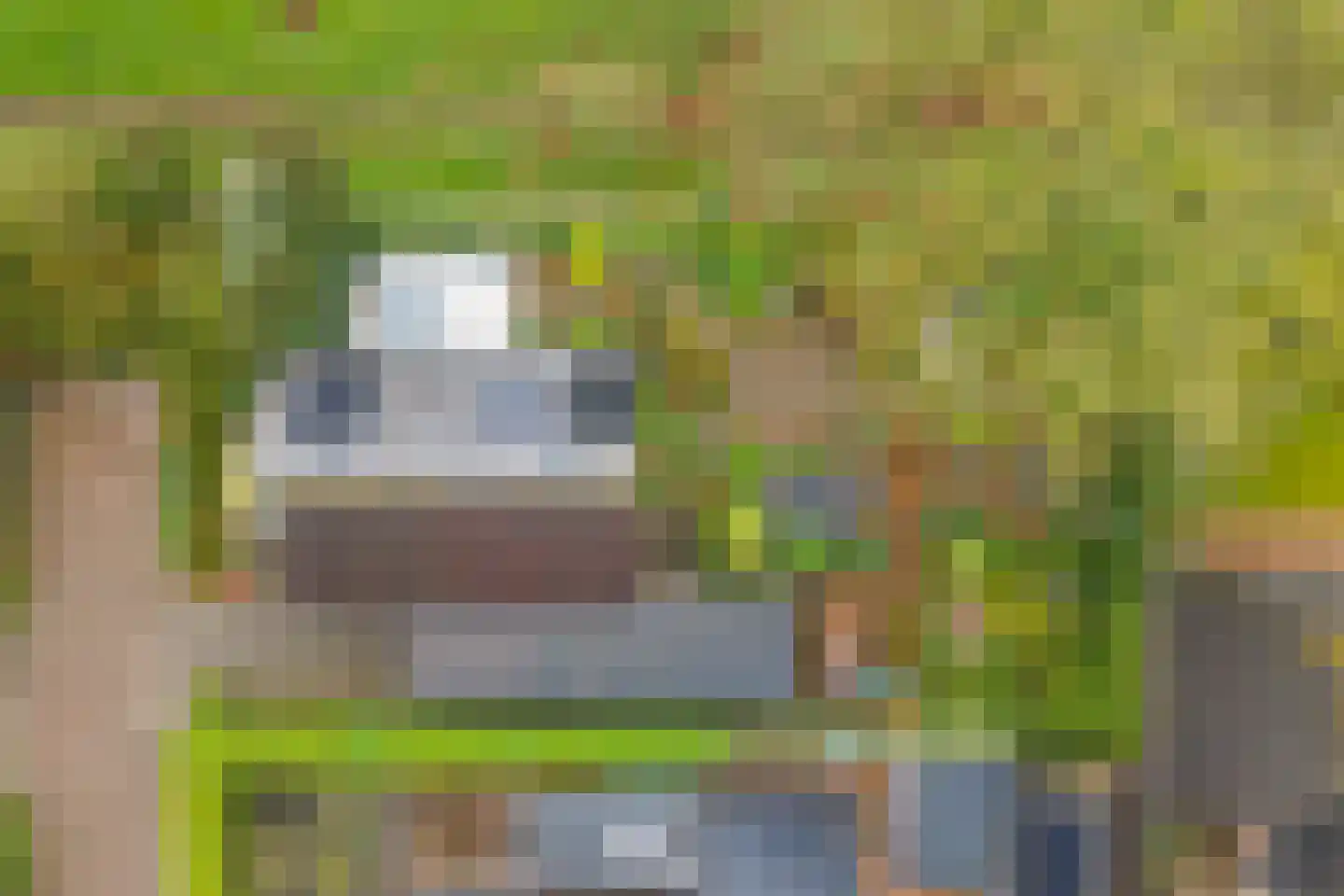 Kamillekamp 47 Eck en Wiel thumbnail 69
