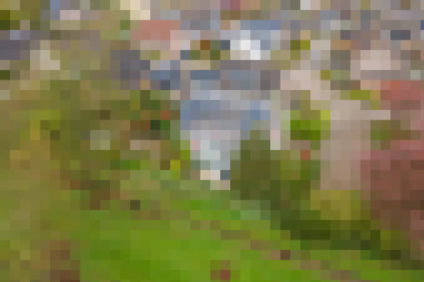 Kamillekamp 47 Eck en Wiel thumbnail 70