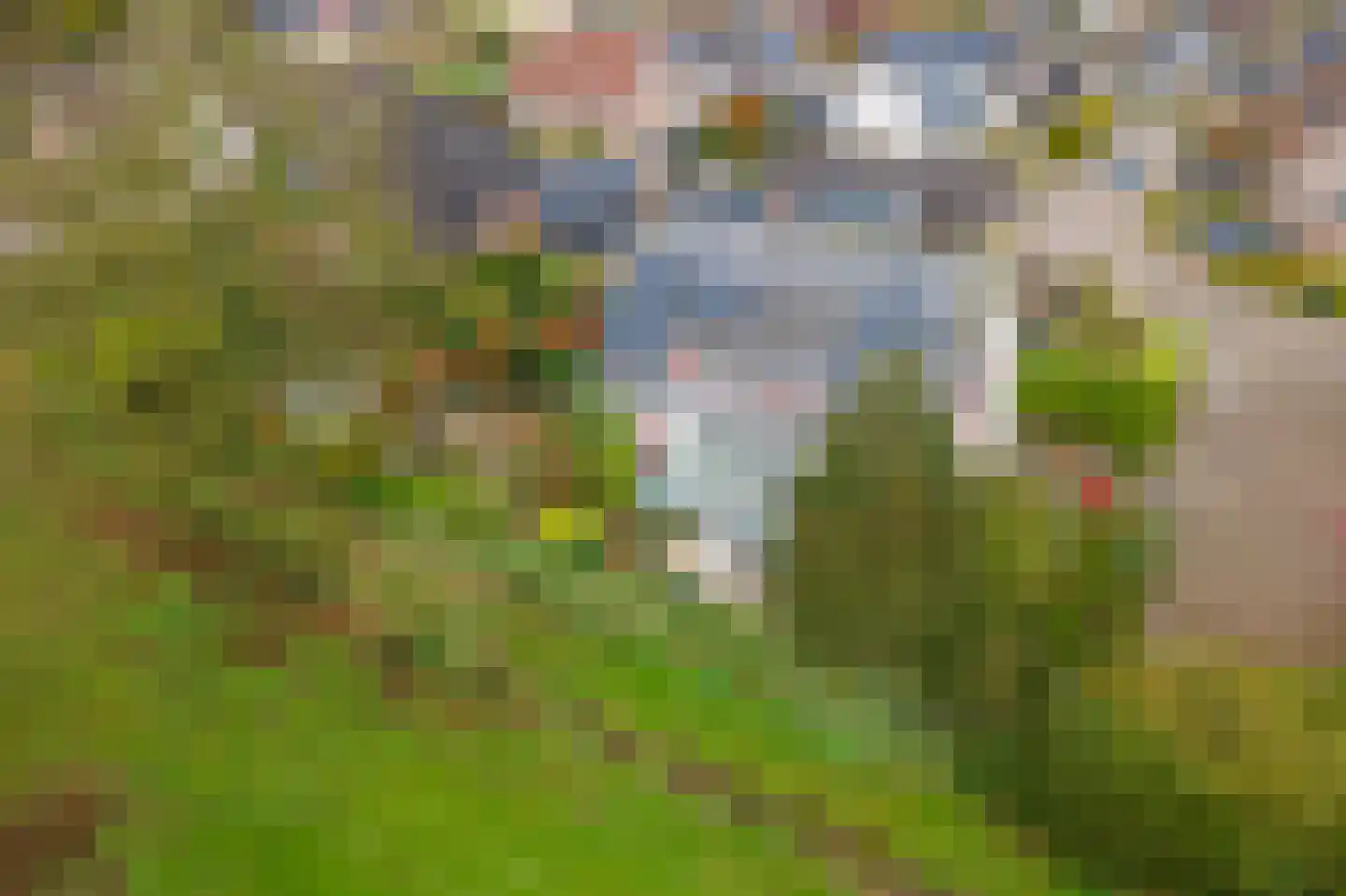 Kamillekamp 47 Eck en Wiel thumbnail 71
