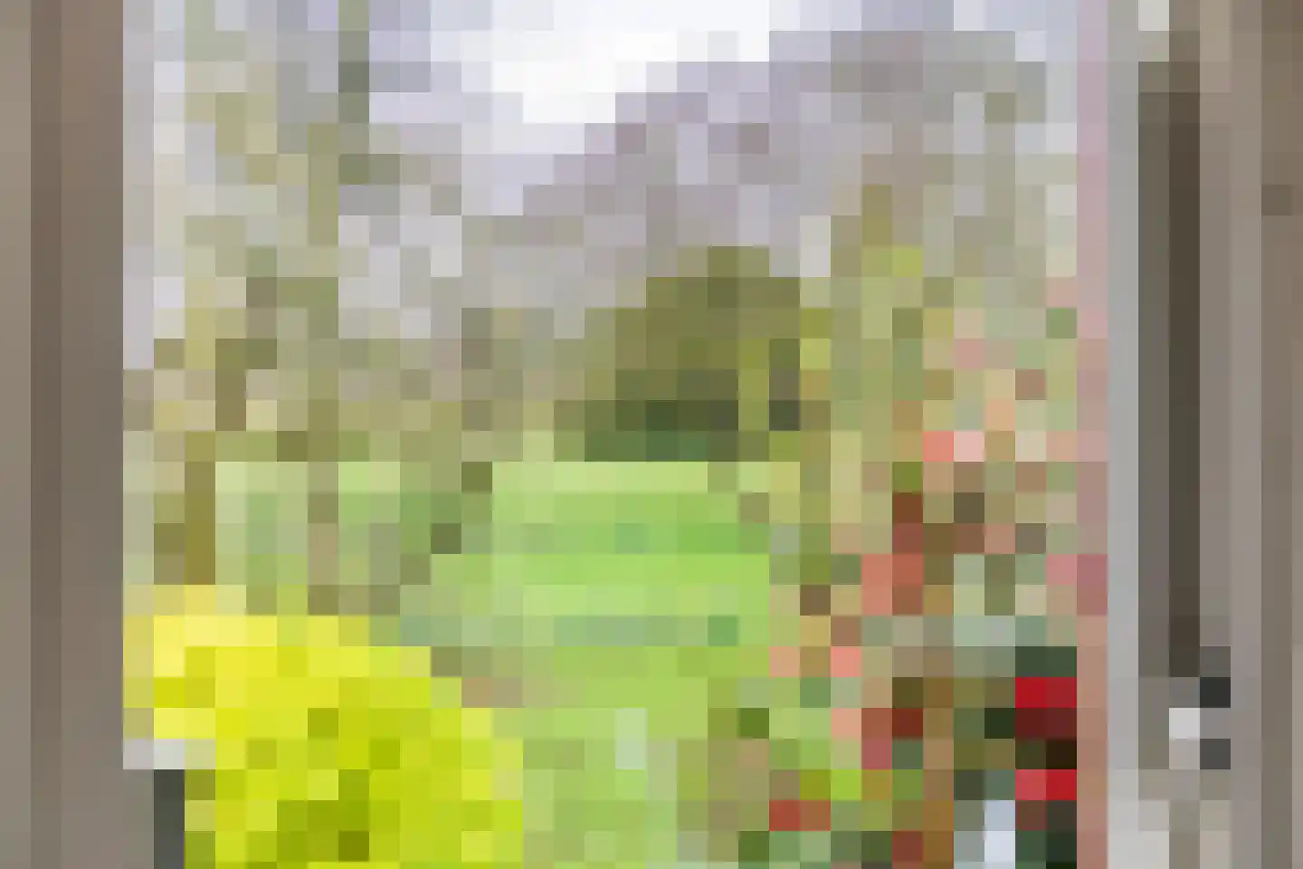 Kamillekamp 47 Eck en Wiel thumbnail 9