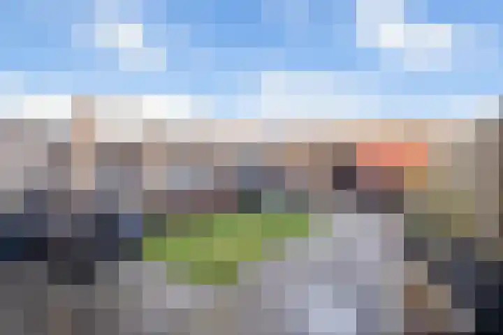 Kamillelaan 117 Arnhem thumbnail 14