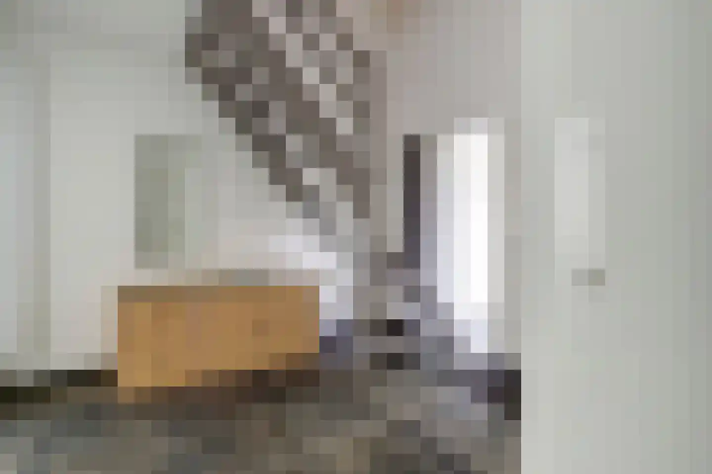 Kamillelaan 16 Burgh-Haamstede thumbnail 7