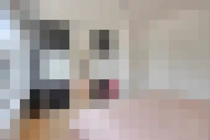 Kamillelaan 18 Scherpenzeel thumbnail 14