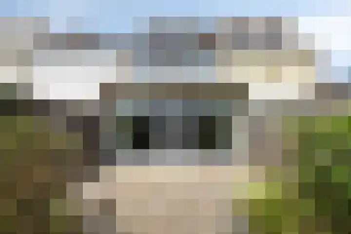 Kamillelaan 18 Scherpenzeel thumbnail 22
