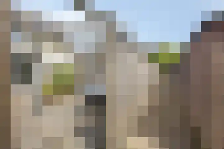 Kamillelaan 18 Scherpenzeel thumbnail 24