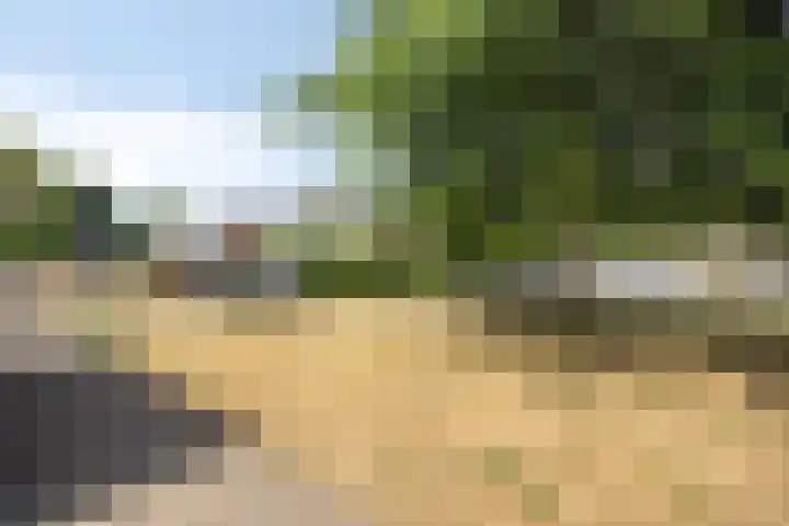 Kamillelaan 18 Scherpenzeel thumbnail 27