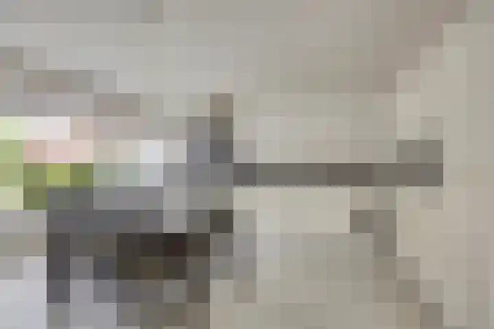 Kamillelaan 18 Scherpenzeel foto 3
