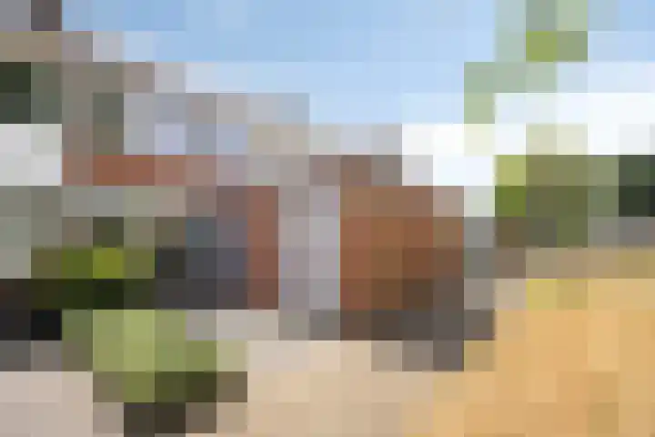 Kamillelaan 18 Scherpenzeel thumbnail 32