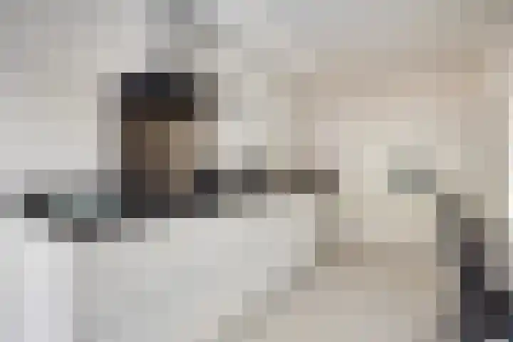 Kamillelaan 18 Scherpenzeel thumbnail 4