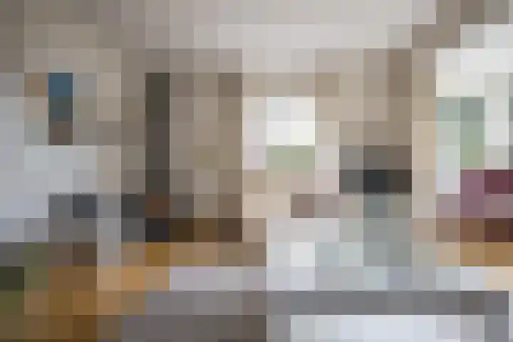 Kamillelaan 19 Wierden thumbnail 12