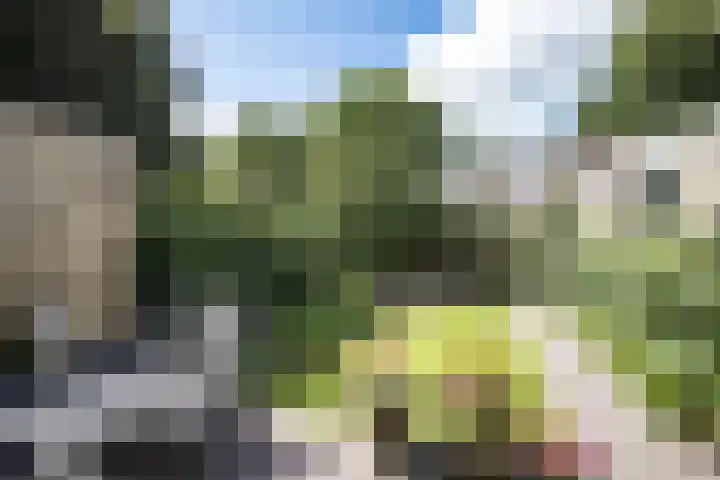 Kamillelaan 19 Wierden thumbnail 32
