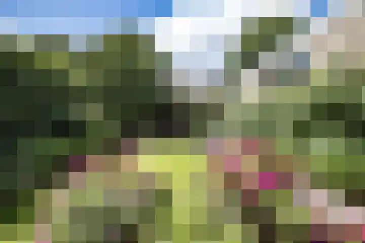 Kamillelaan 19 Wierden thumbnail 33