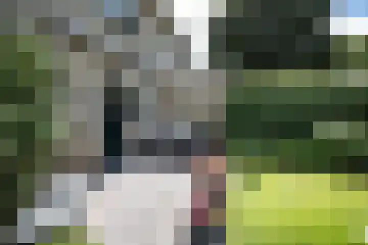 Kamillelaan 19 Wierden thumbnail 34