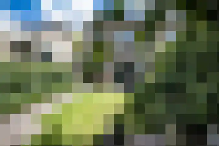 Kamillelaan 19 Wierden thumbnail 35