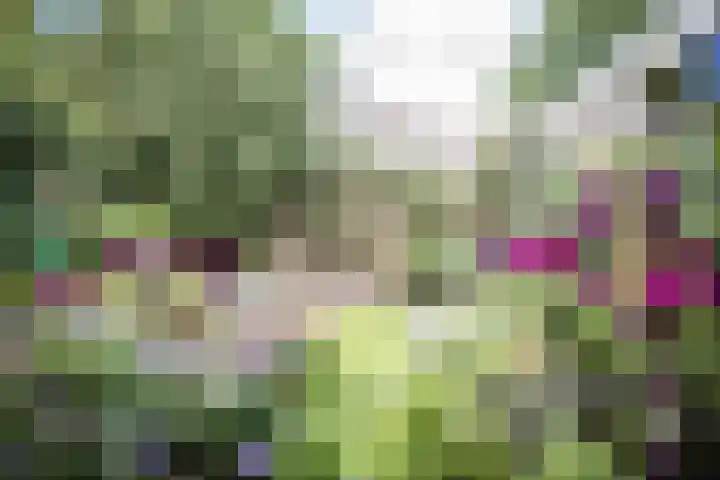 Kamillelaan 19 Wierden thumbnail 36