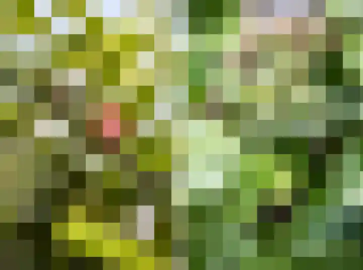 Kamillelaan 19 Wierden thumbnail 37