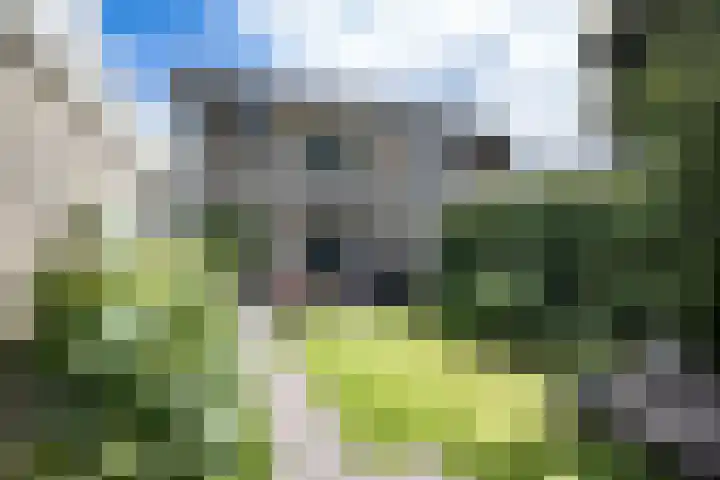 Kamillelaan 19 Wierden thumbnail 4