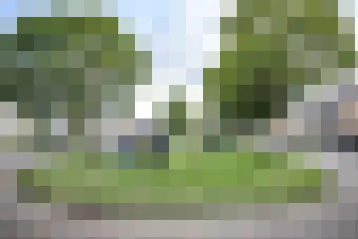 Kamillelaan 19 Wierden thumbnail 40