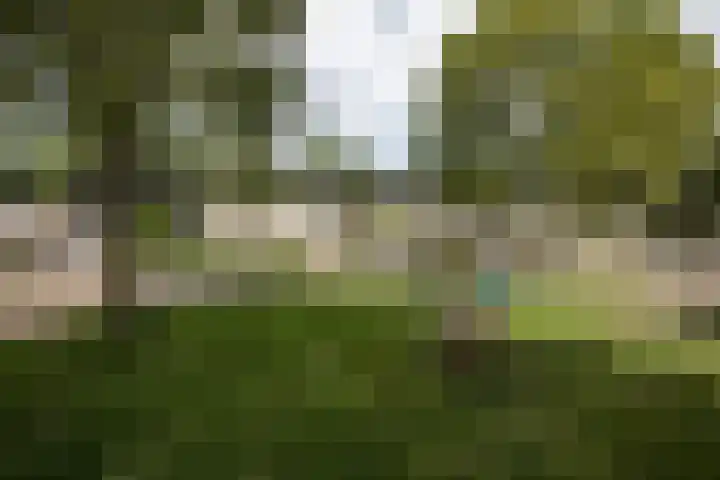 Kamillelaan 19 Wierden thumbnail 41