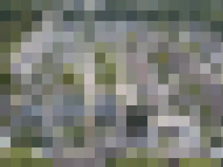 Kamillelaan 19 Wierden thumbnail 42