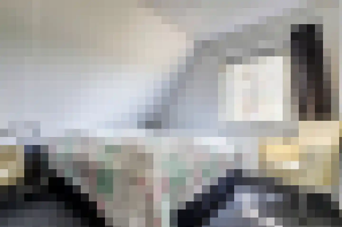 Kamillelaan 2 Burgh-Haamstede thumbnail 17
