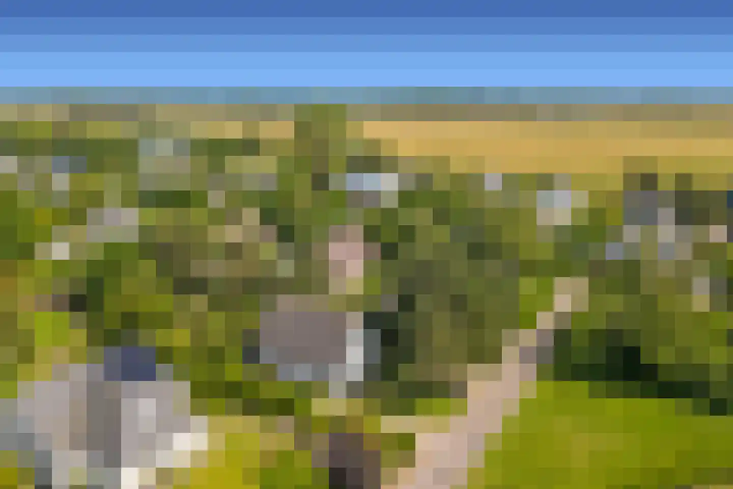 Kamillelaan 2 Burgh-Haamstede thumbnail 27