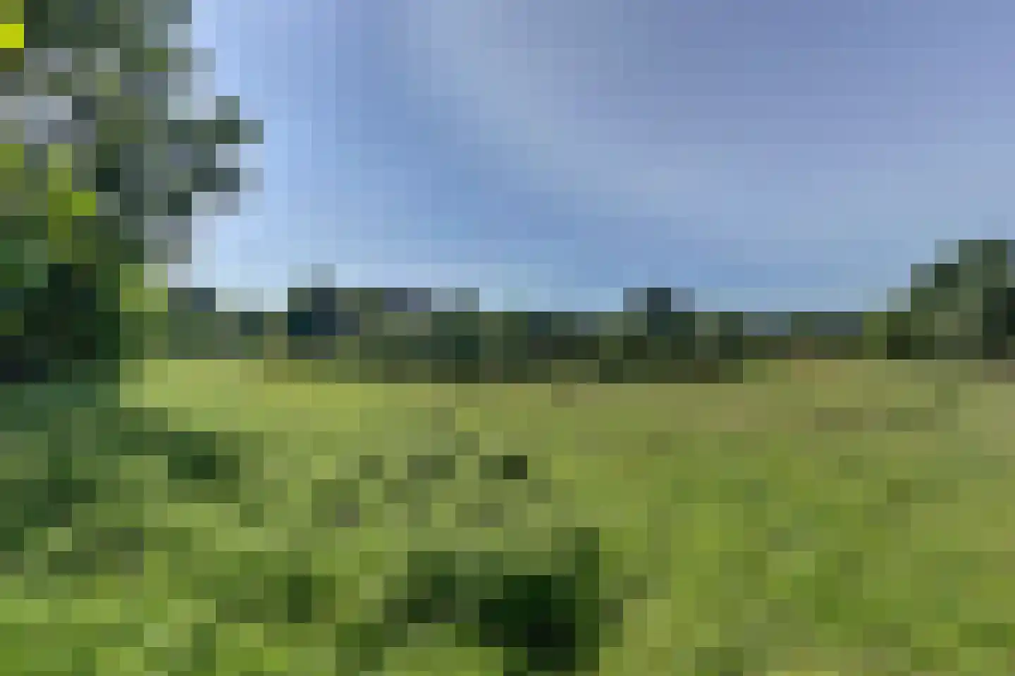 Kamillelaan 2 Burgh-Haamstede thumbnail 4
