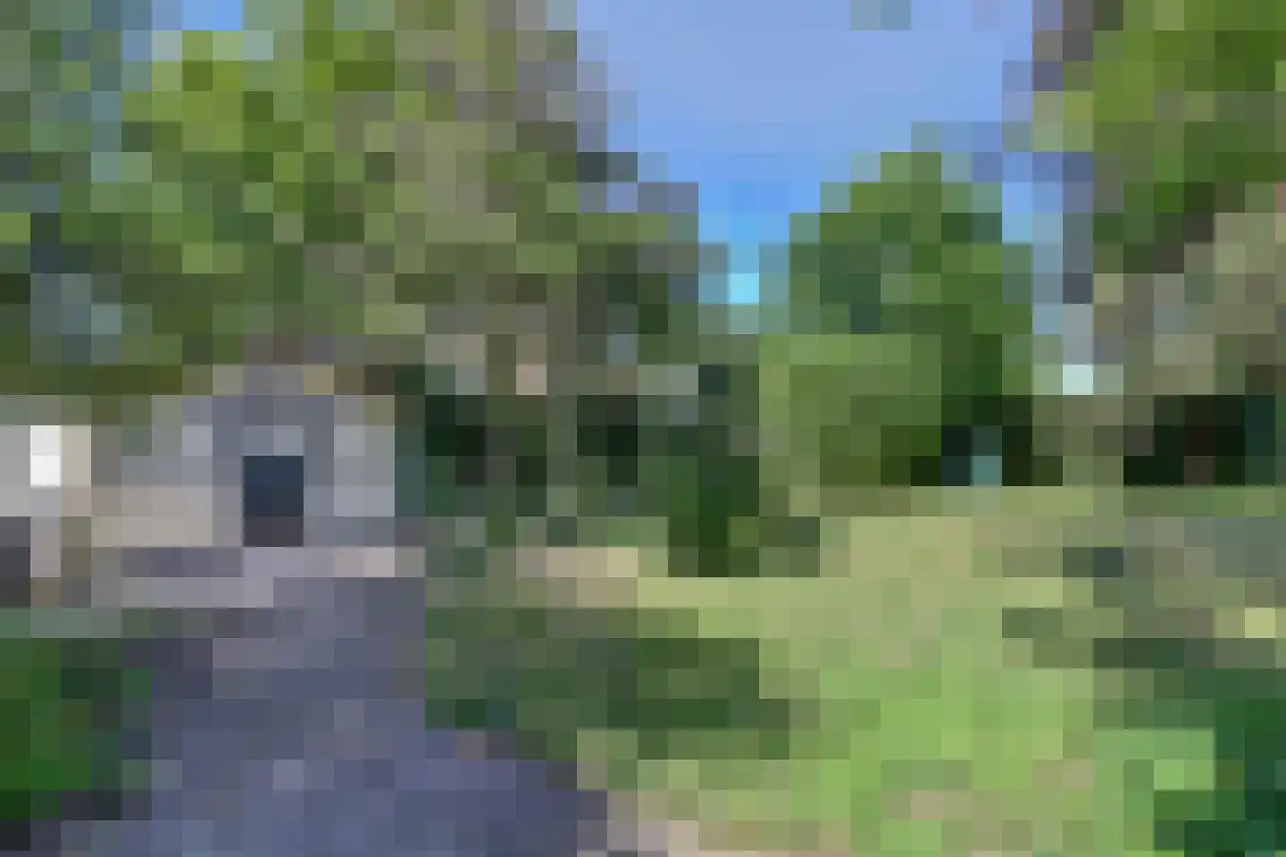 Kamillelaan 2 Burgh-Haamstede thumbnail 6