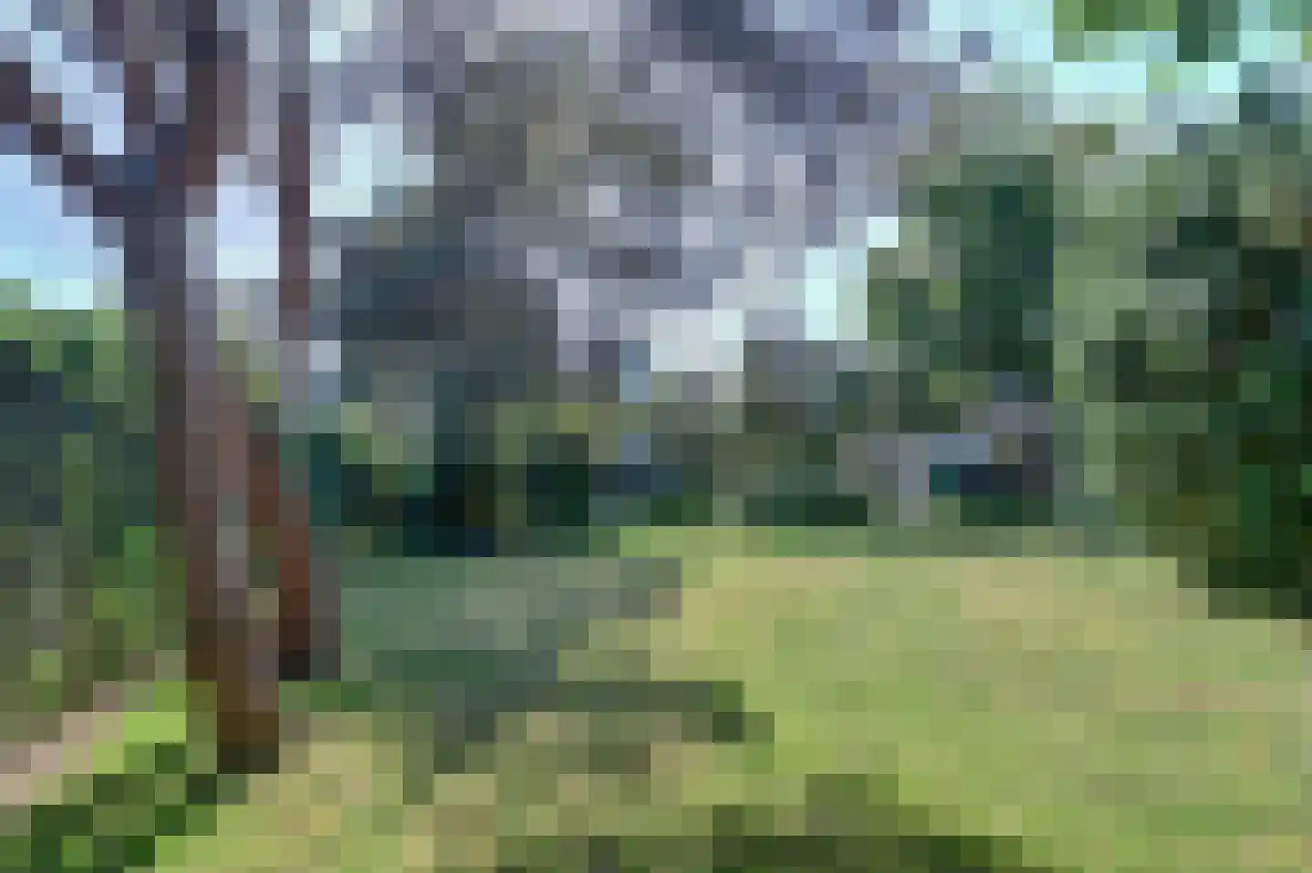Kamillelaan 2 Burgh-Haamstede thumbnail 7