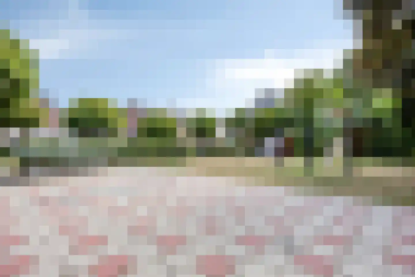 Kamillelaan 21 Scherpenzeel thumbnail 30
