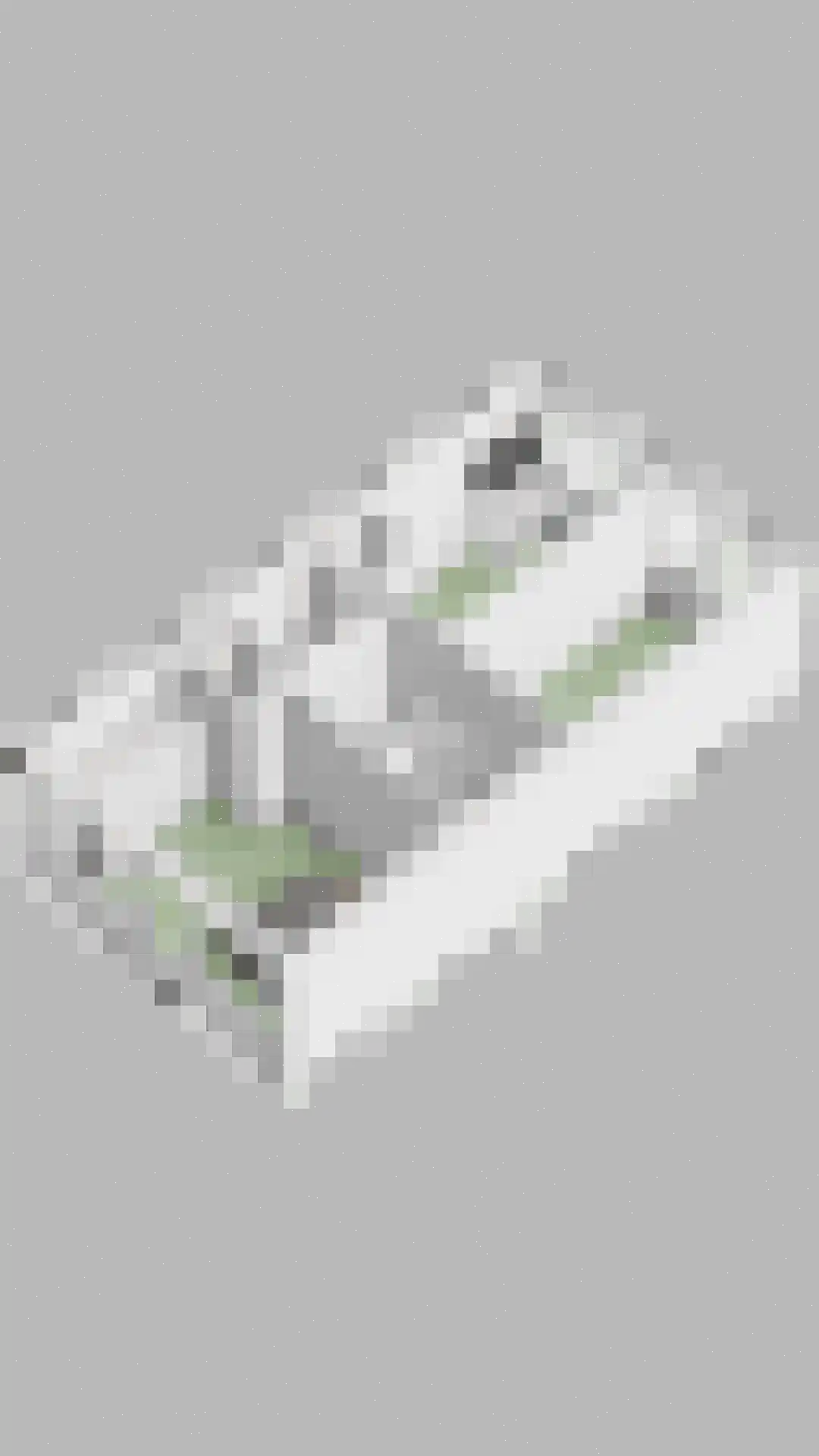 Kamillelaan 21 Scherpenzeel thumbnail 38