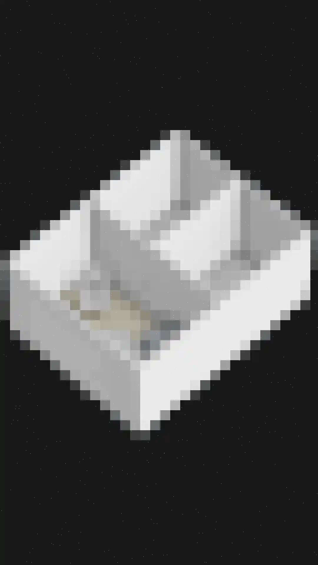 Kamillelaan 21 Scherpenzeel thumbnail 41