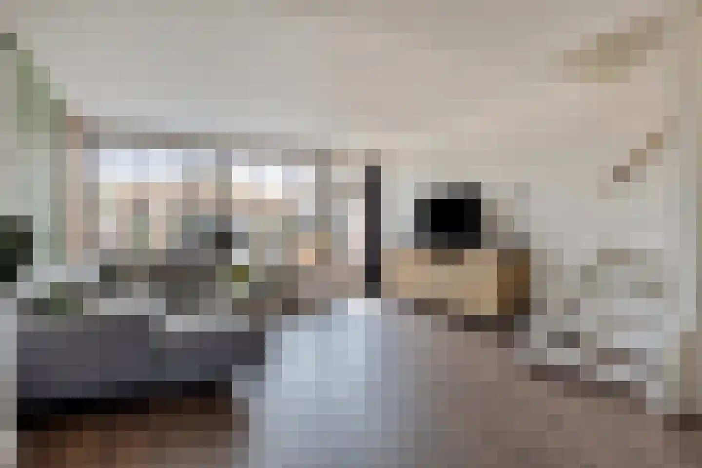 Kamillelaan 21 Scherpenzeel thumbnail 6