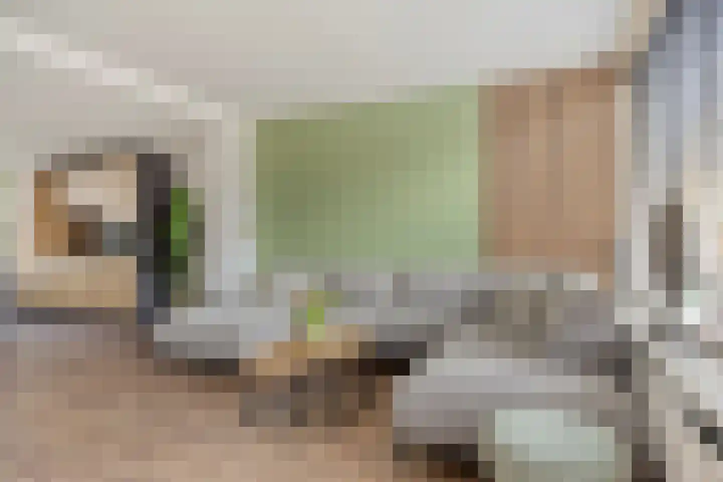 Kamillelaan 21 Scherpenzeel thumbnail 7