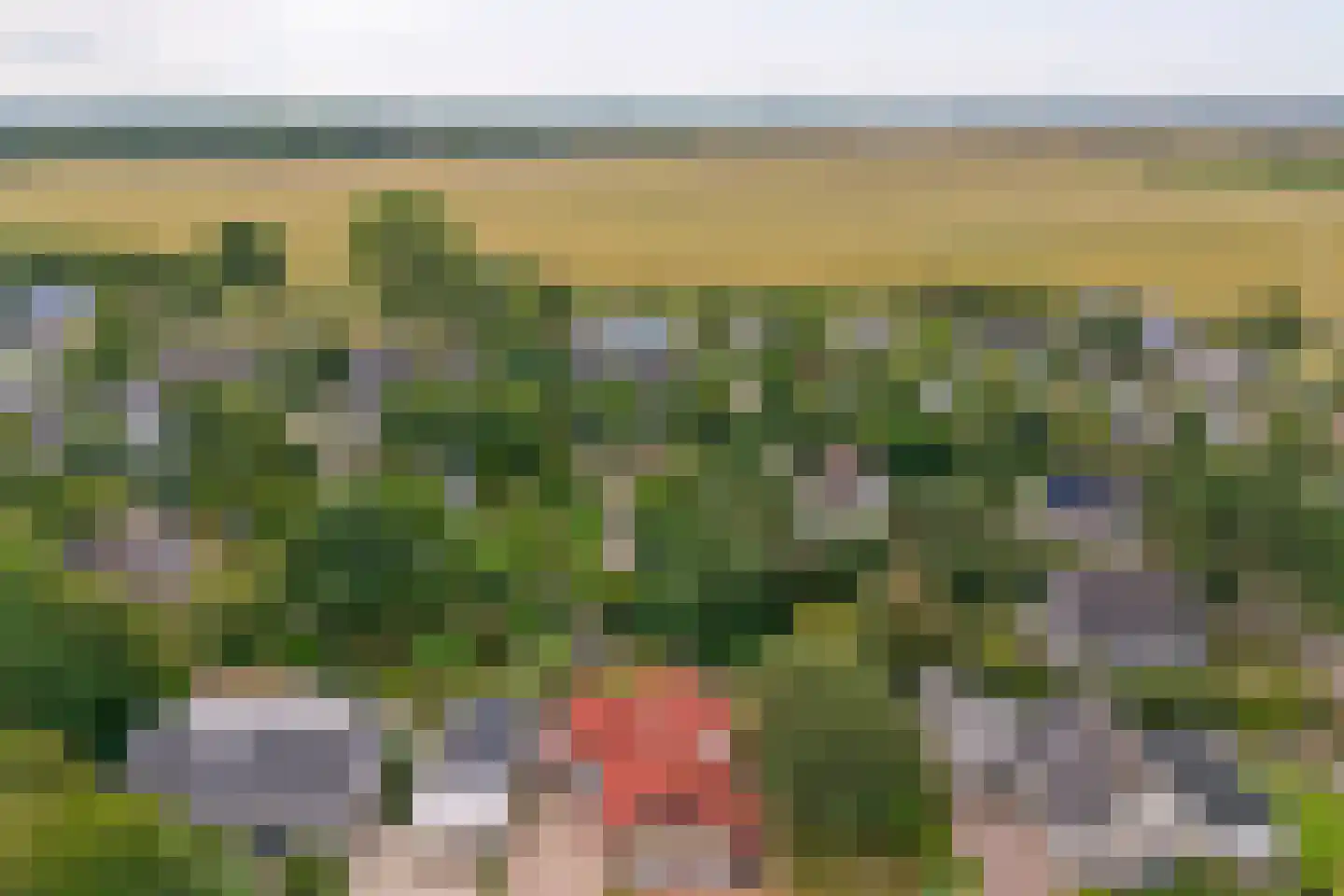 Kamillelaan 4 Burgh-Haamstede thumbnail 41