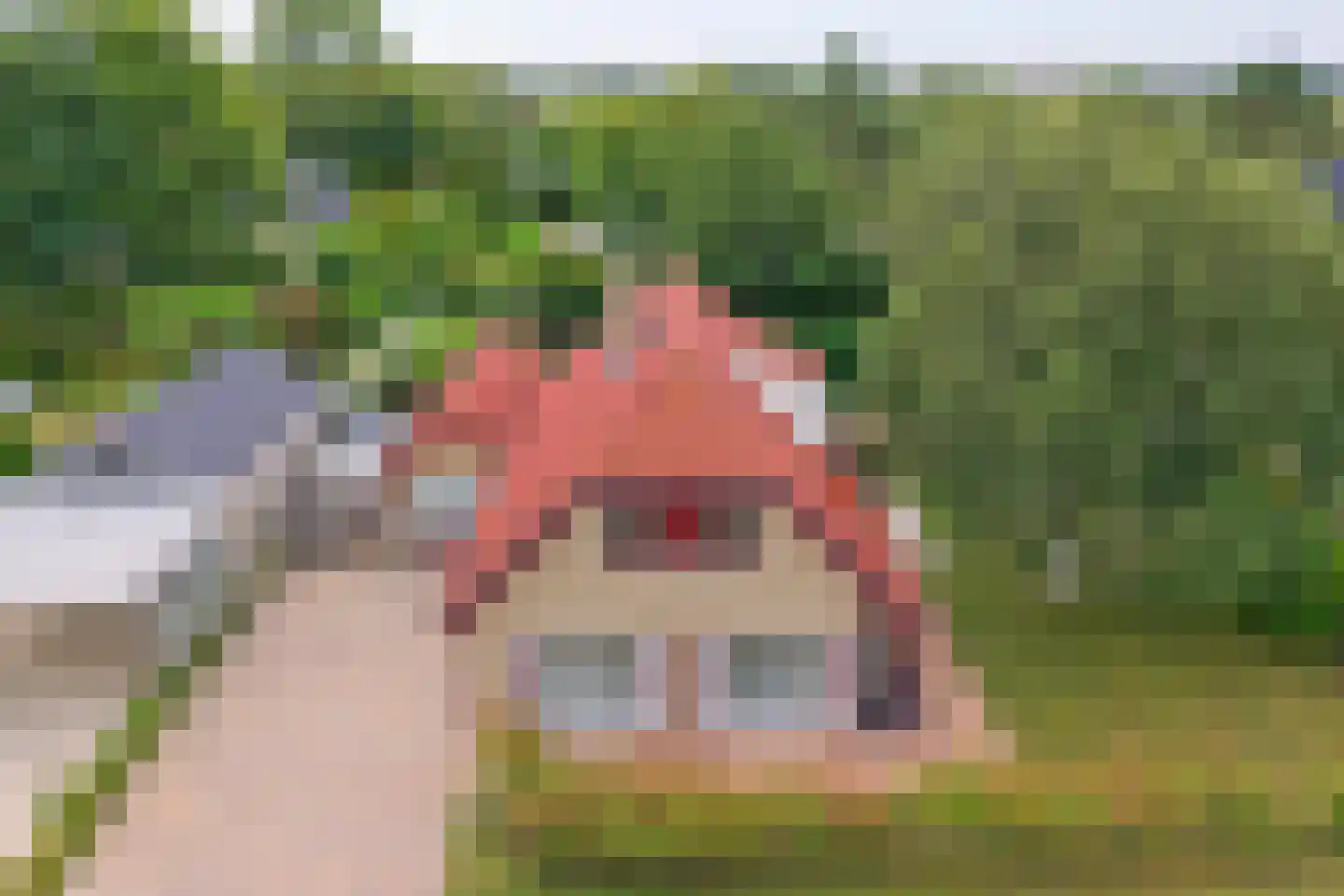 Kamillelaan 4 Burgh-Haamstede thumbnail 42
