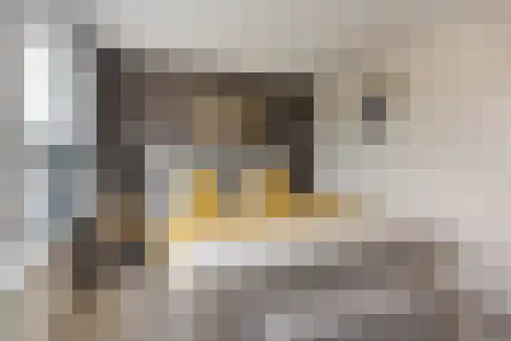 Kamillelaan 4 Scherpenzeel thumbnail 15
