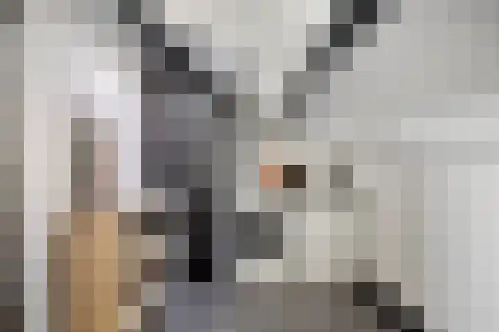 Kamillelaan 4 Scherpenzeel thumbnail 22