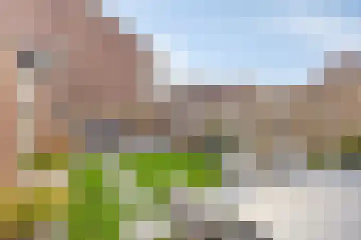 Kamillelaan 4 Scherpenzeel thumbnail 25