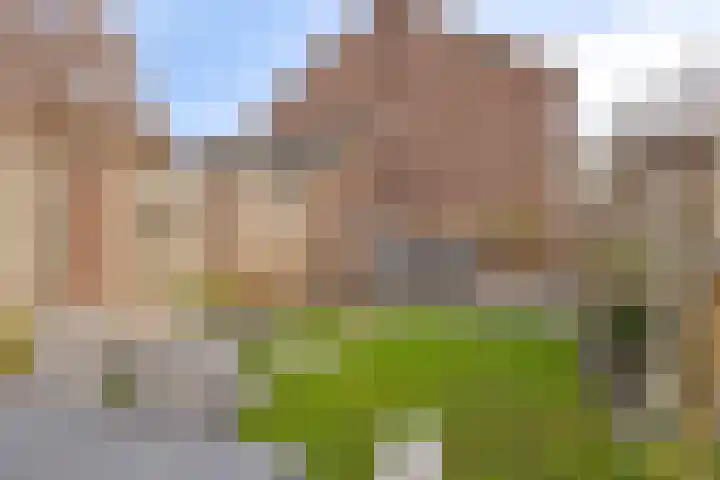Kamillelaan 4 Scherpenzeel thumbnail 26
