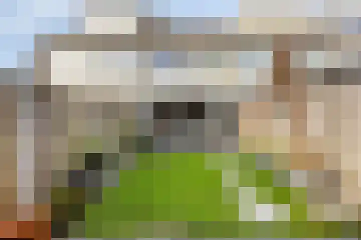 Kamillelaan 4 Scherpenzeel thumbnail 27